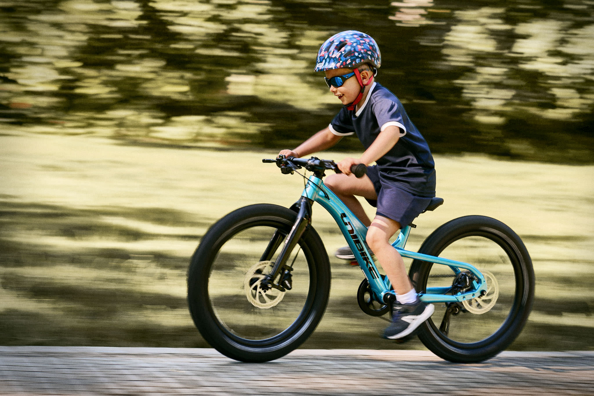 ebike1